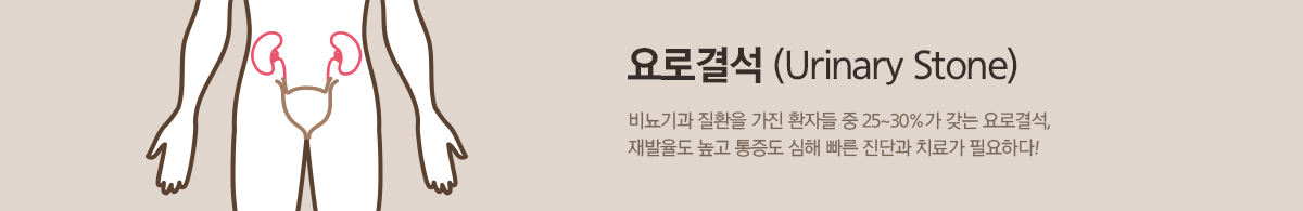 컨텐츠 상단 이미지