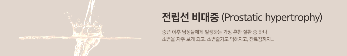 컨텐츠 상단 이미지