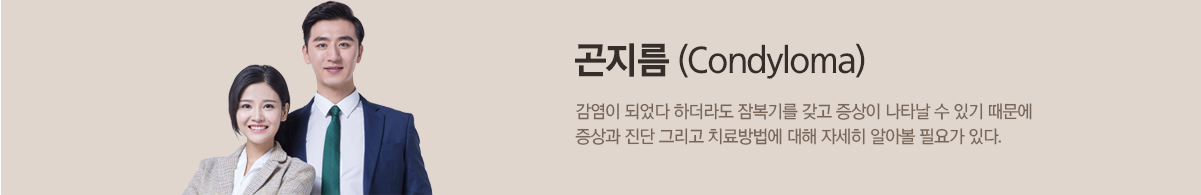 컨텐츠 상단 이미지