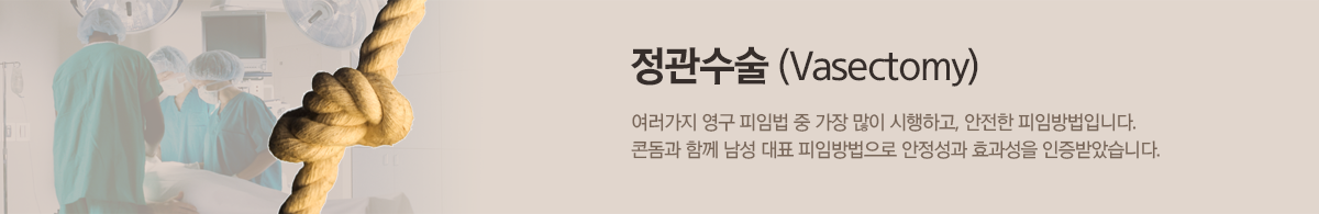 컨텐츠 상단 이미지