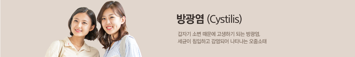 컨텐츠 상단 이미지