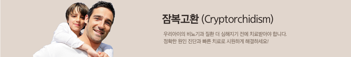 컨텐츠 상단 이미지