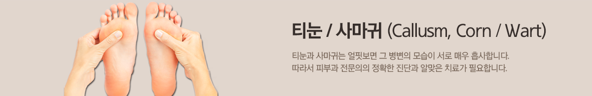 컨텐츠 상단 이미지