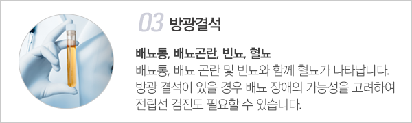 요로결석 이미지3