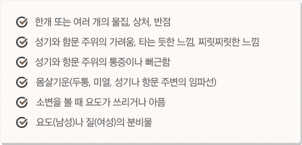 헤르페스의 증상 이미지